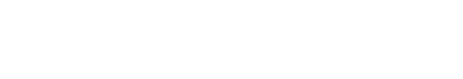 NOEMA